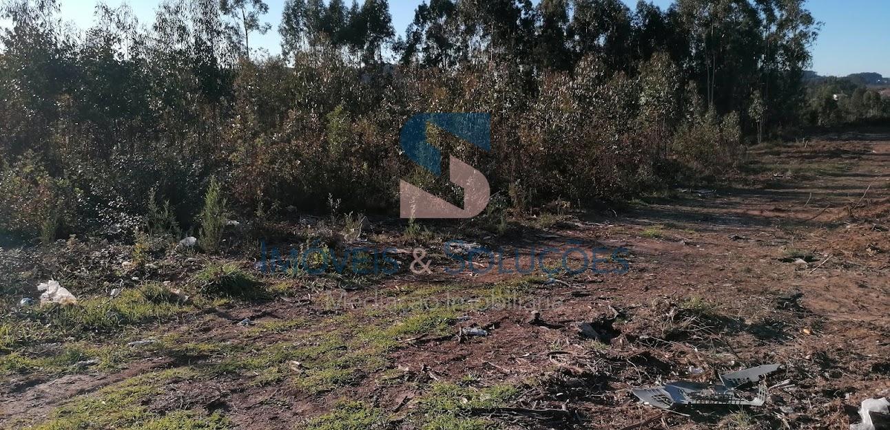 Terreno Rústico  Venda em Pedroso e Seixezelo,Vila Nova de Gaia