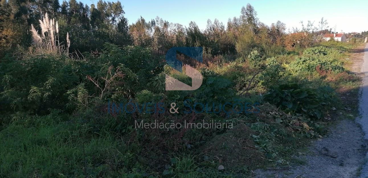 Terreno Rústico  Venda em Pedroso e Seixezelo,Vila Nova de Gaia