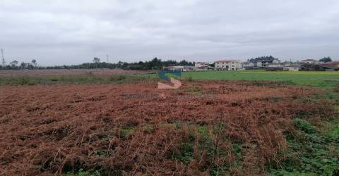 Terreno Rústico  Venda em Pedroso e Seixezelo,Vila Nova de Gaia