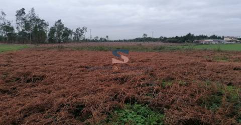 Terreno Rústico  Venda em Pedroso e Seixezelo,Vila Nova de Gaia