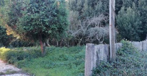 Terreno Rústico  Venda em Pedroso e Seixezelo,Vila Nova de Gaia