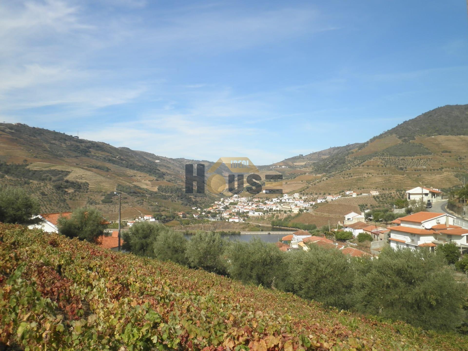 Lote de Terreno  Venda em Folgosa,Armamar