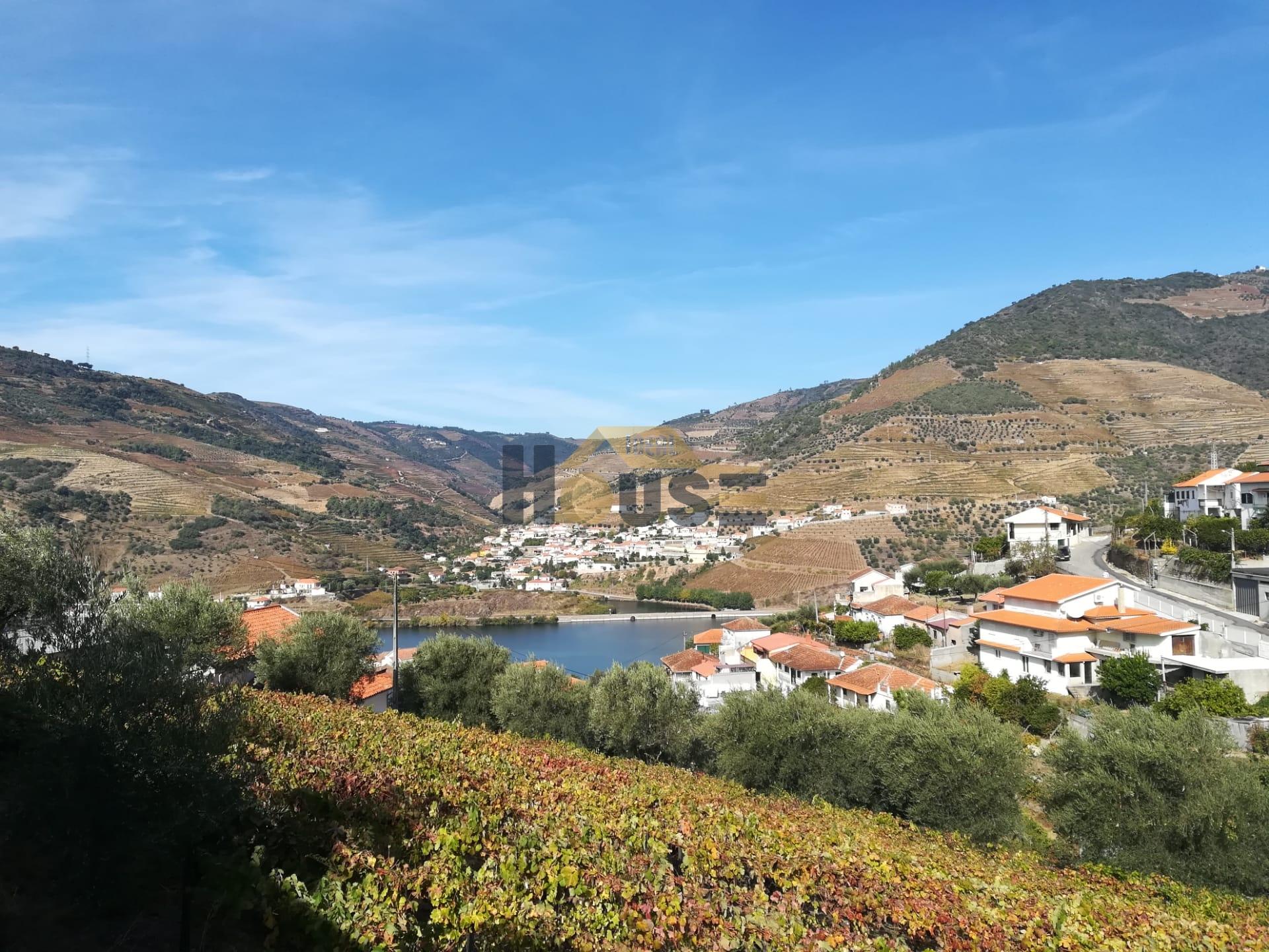 Lote de Terreno  Venda em Folgosa,Armamar