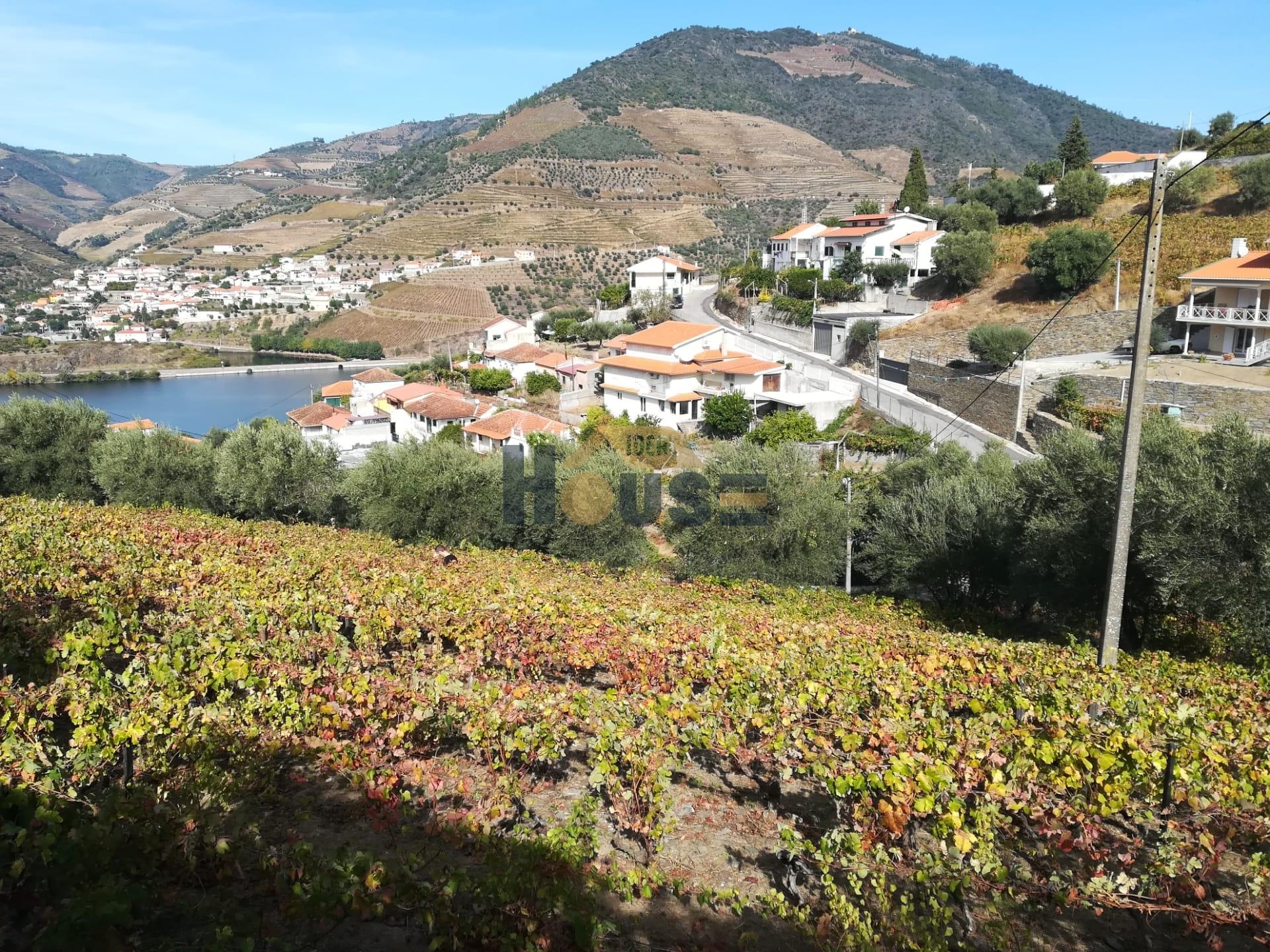 Lote de Terreno  Venda em Folgosa,Armamar