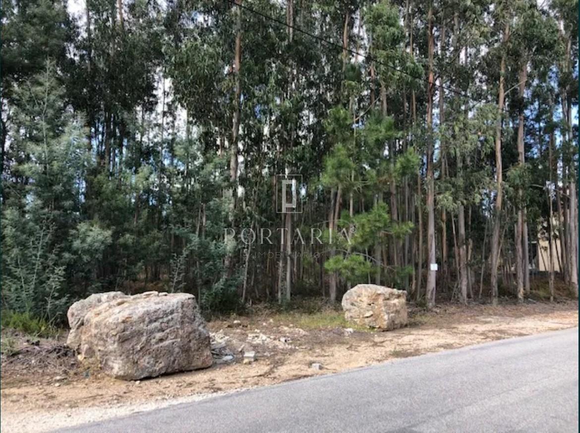 Terreno Urbano  Venda em Águeda e Borralha,Águeda