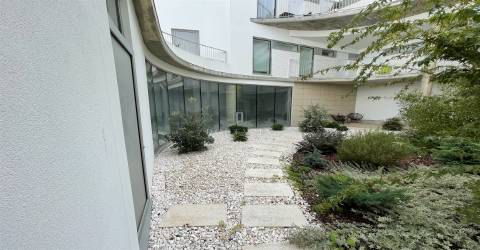 Loja  Arrendamento em Glória e Vera Cruz,Aveiro