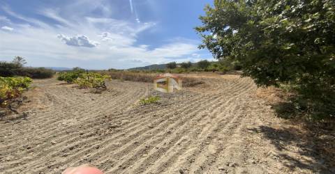 Quinta com 2 Hectares em Belmonte