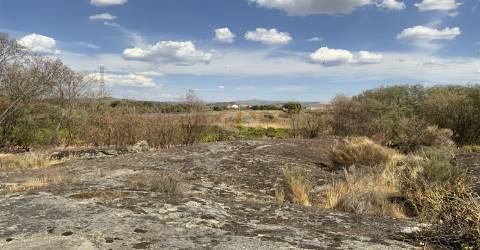 Quinta com 2 Hectares em Belmonte