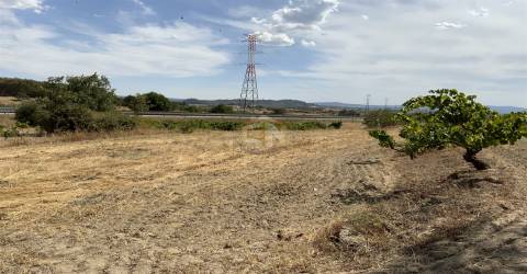 Quinta com 2 Hectares em Belmonte