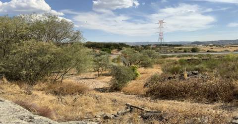 Quinta com 2 Hectares em Belmonte