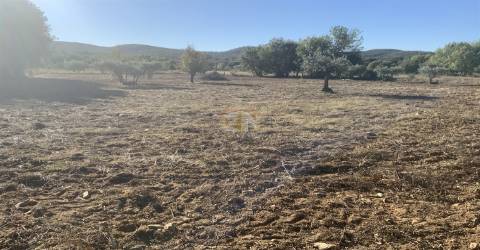 Vende-se Terreno Agrícola na freguesia de Vale da Senhora da Póvoa