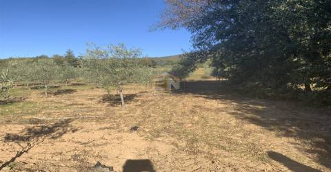 Vende-se Terreno Agrícola na freguesia de Vale da Senhora da Póvoa