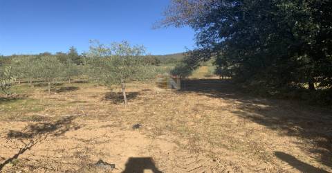 Vende-se Terreno Agrícola na freguesia de Vale da Senhora da Póvoa