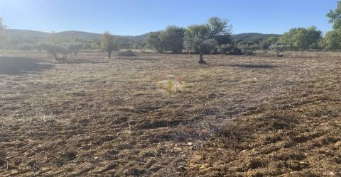 Vende-se Terreno Agrícola na freguesia de Vale da Senhora da Póvoa