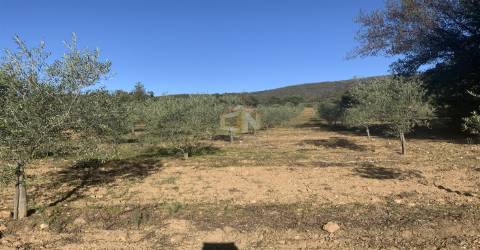 Vende-se Terreno Agrícola na freguesia de Vale da Senhora da Póvoa