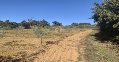 Vende-se Terreno Agrícola na freguesia de Vale da Senhora da Póvoa