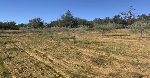 Vende-se Terreno Agrícola na freguesia de Vale da Senhora da Póvoa