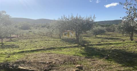 Vende-se Terreno Agrícola na freguesia de Vale da Senhora da Póvoa