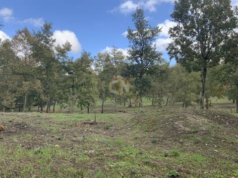 Vende-se Terreno com 27000 m2 junto ao Sabugal