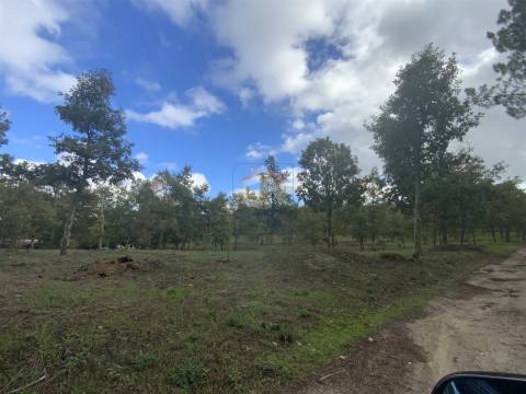 Vende-se Terreno com 27000 m2 junto ao Sabugal