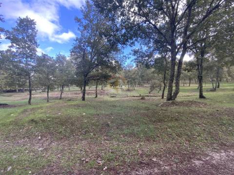 Vende-se Terreno com 27000 m2 junto ao Sabugal