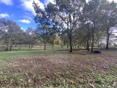Vende-se Terreno com 27000 m2 junto ao Sabugal