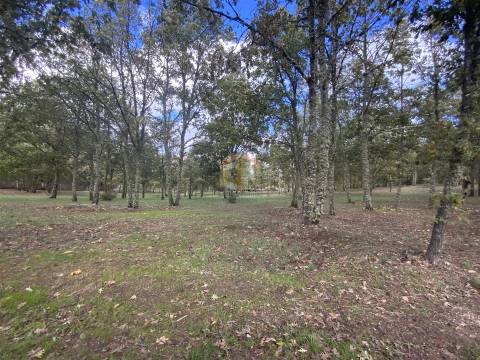 Vende-se Terreno com 27000 m2 junto ao Sabugal