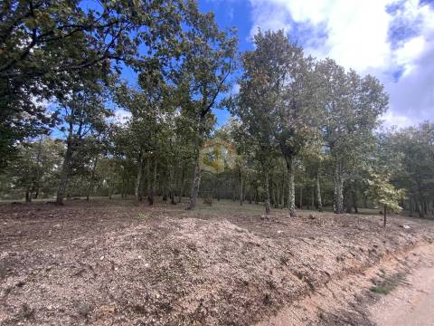 Vende-se Terreno com 27000 m2 junto ao Sabugal