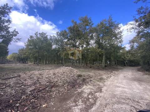 Vende-se Terreno com 27000 m2 junto ao Sabugal