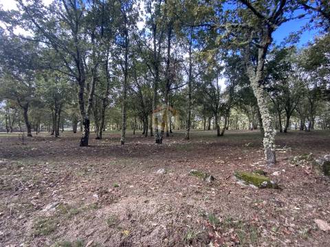 Vende-se Terreno com 27000 m2 junto ao Sabugal