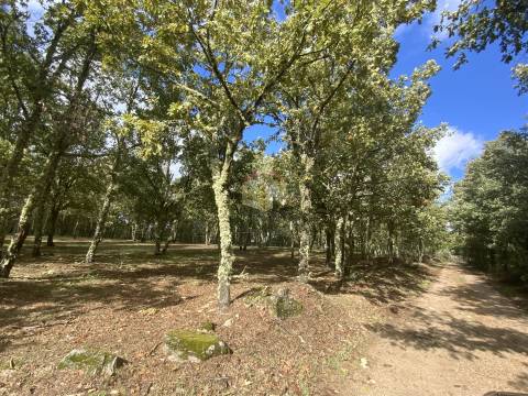 Vende-se Terreno com 27000 m2 junto ao Sabugal