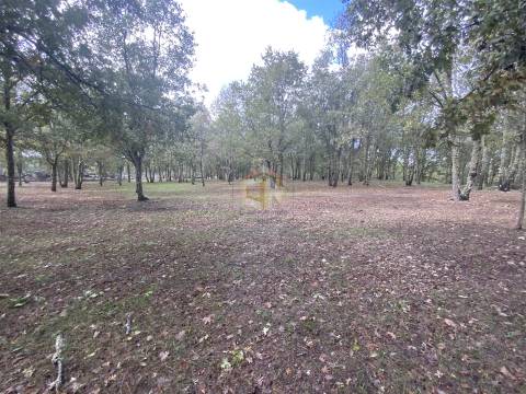 Vende-se Terreno com 27000 m2 junto ao Sabugal