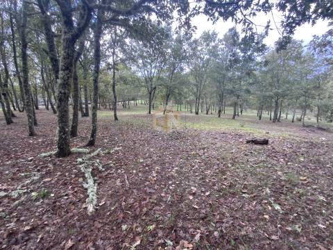 Vende-se Terreno com 27000 m2 junto ao Sabugal