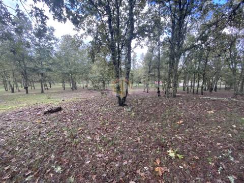 Vende-se Terreno com 27000 m2 junto ao Sabugal