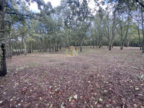 Vende-se Terreno com 27000 m2 junto ao Sabugal
