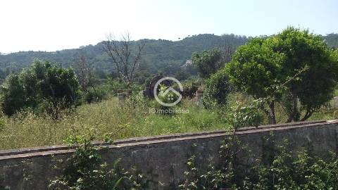 Setúbal- Quinta com moradia T7 para reabilitar e terreno com 10hc.