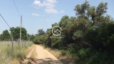 Setúbal- Quinta com moradia T7 para reabilitar e terreno com 10hc.