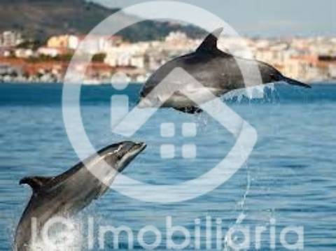 Zona histórica de Setúbal, Prédio com projeto aprovado com 5 frações