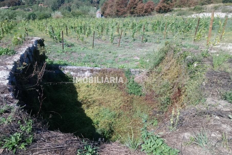 Terreno Rústico  Venda em Gove,Baião