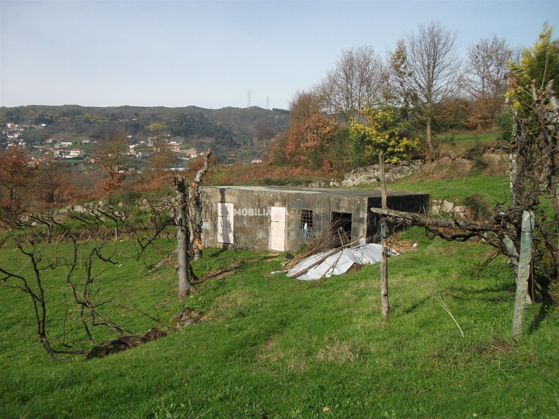 Terreno Rústico  Venda em Gove,Baião