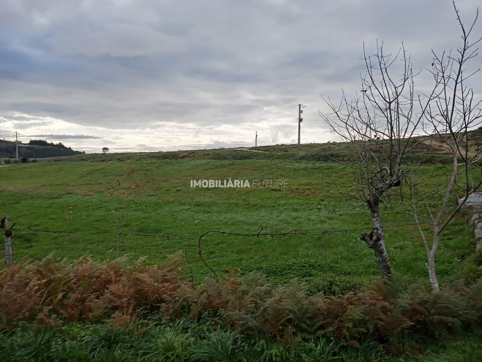 Quinta  Venda em Soalhães,Marco de Canaveses