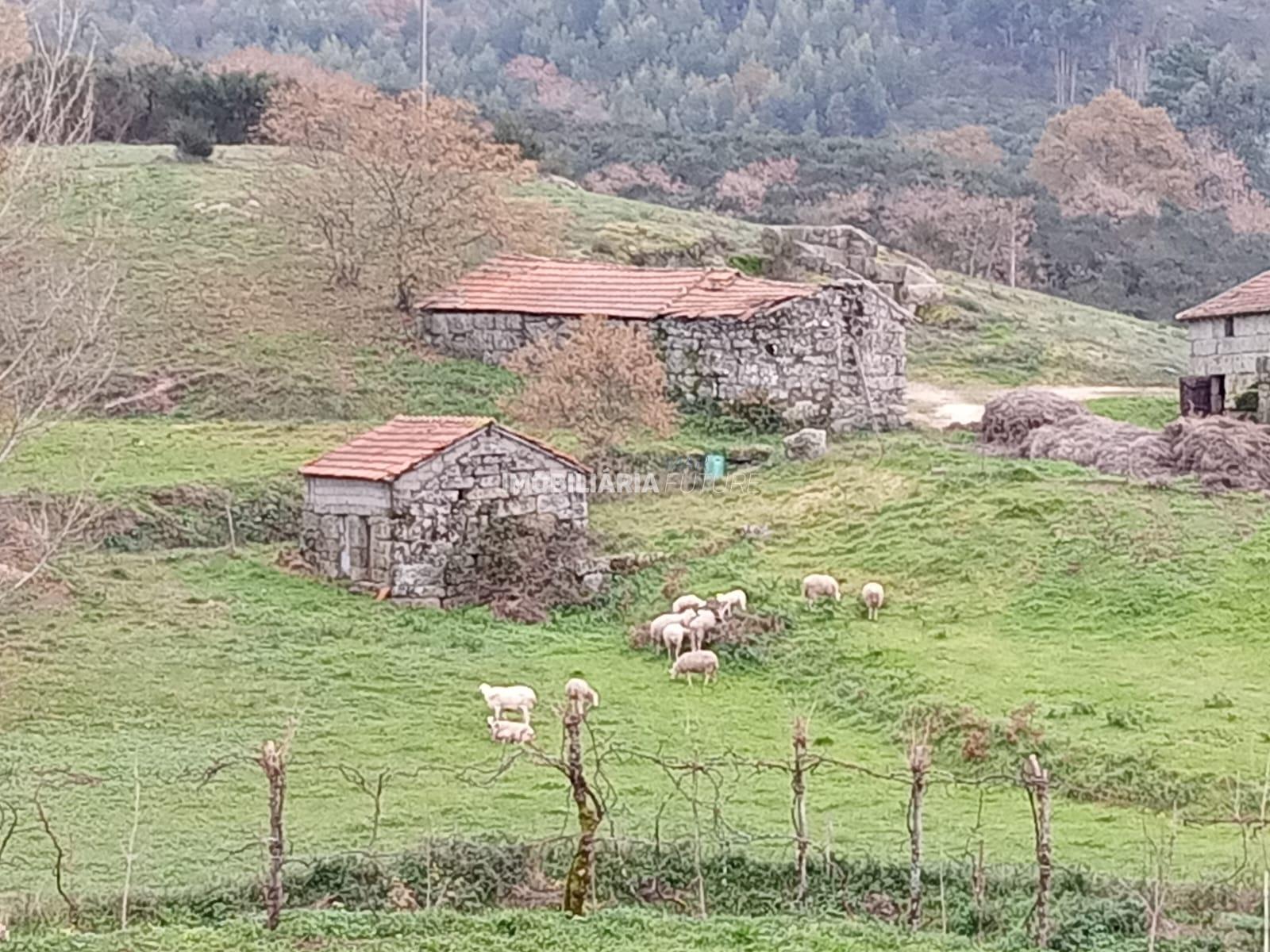 Quinta  Venda em Soalhães,Marco de Canaveses