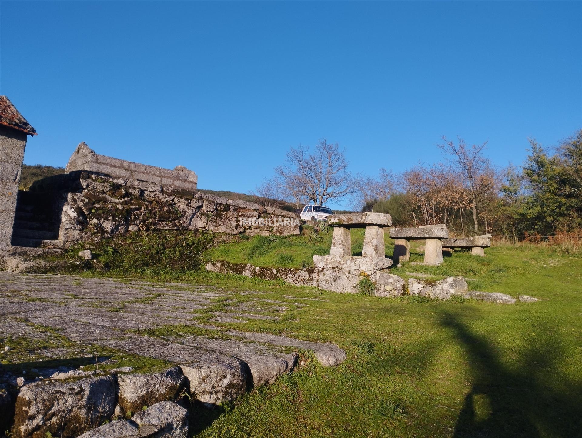 Quinta  Venda em Soalhães,Marco de Canaveses