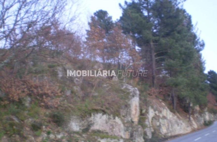 Terreno  Venda em Soalhães,Marco de Canaveses