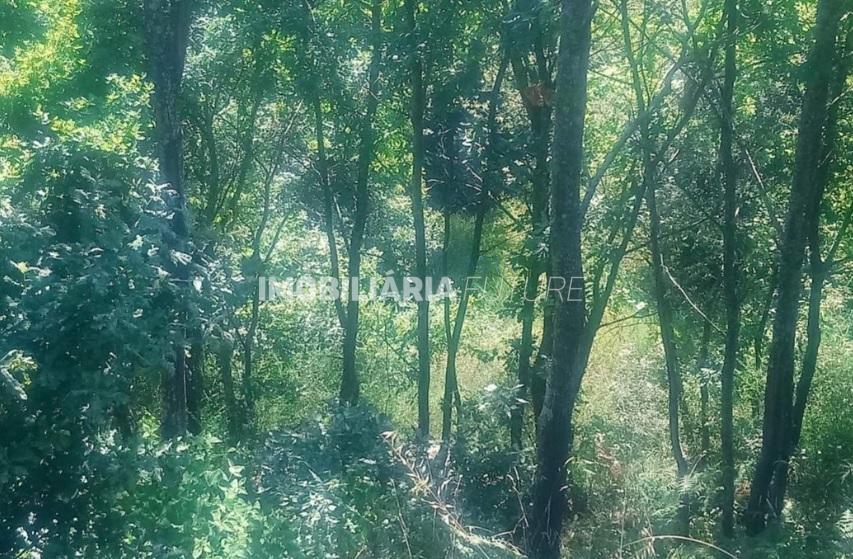 Terreno  Venda em Soalhães,Marco de Canaveses