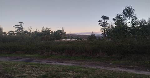 Terreno Rústico  Venda em Sande e São Lourenço,Marco de Canaveses