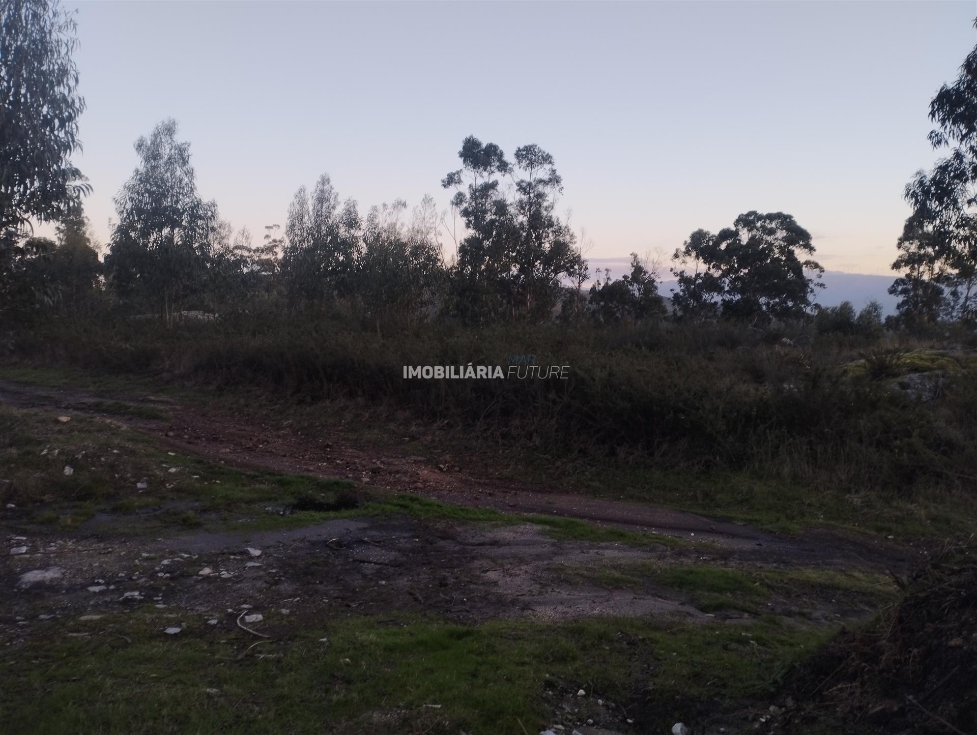 Terreno Rústico  Venda em Sande e São Lourenço,Marco de Canaveses