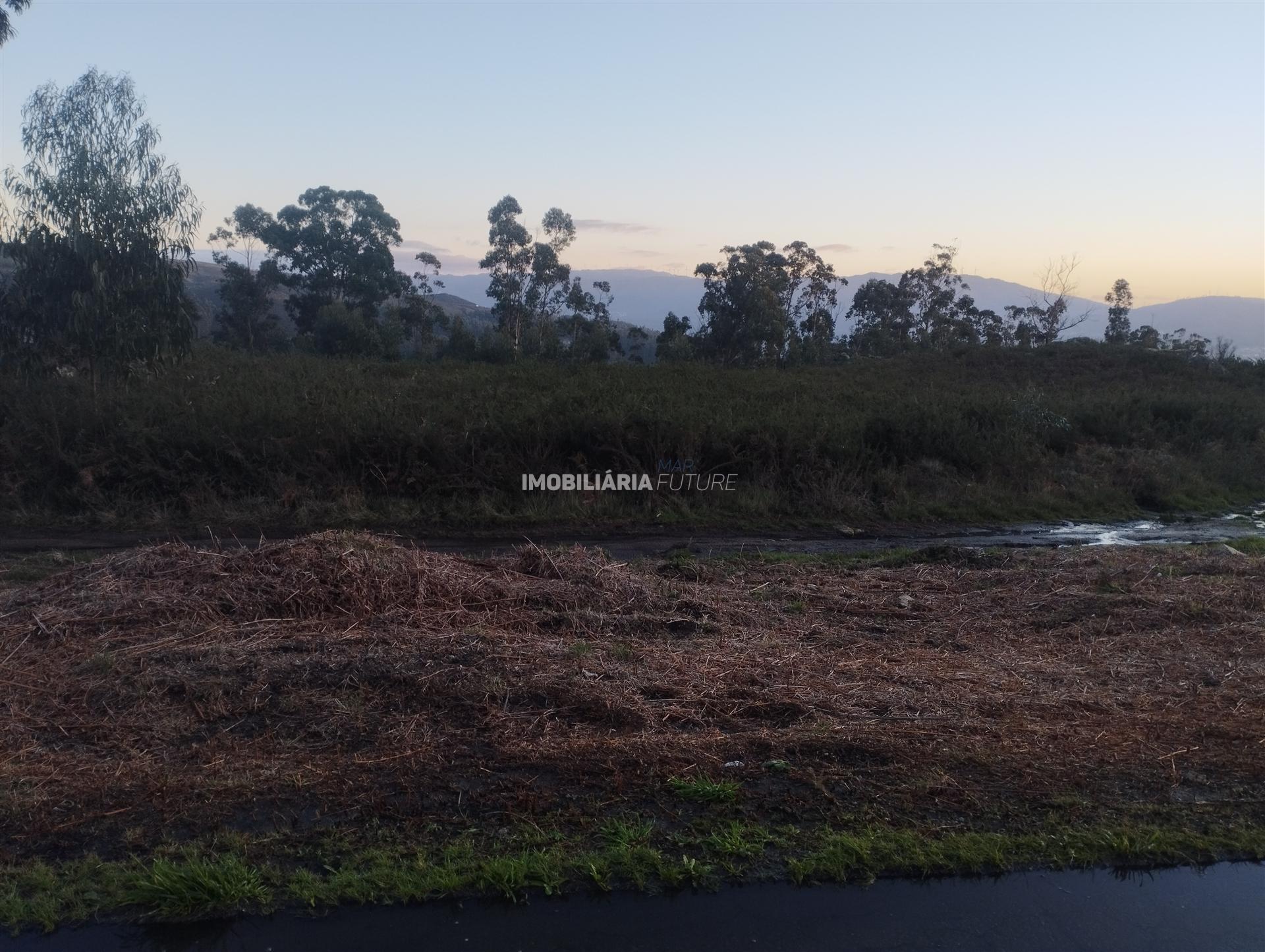 Terreno Rústico  Venda em Sande e São Lourenço,Marco de Canaveses