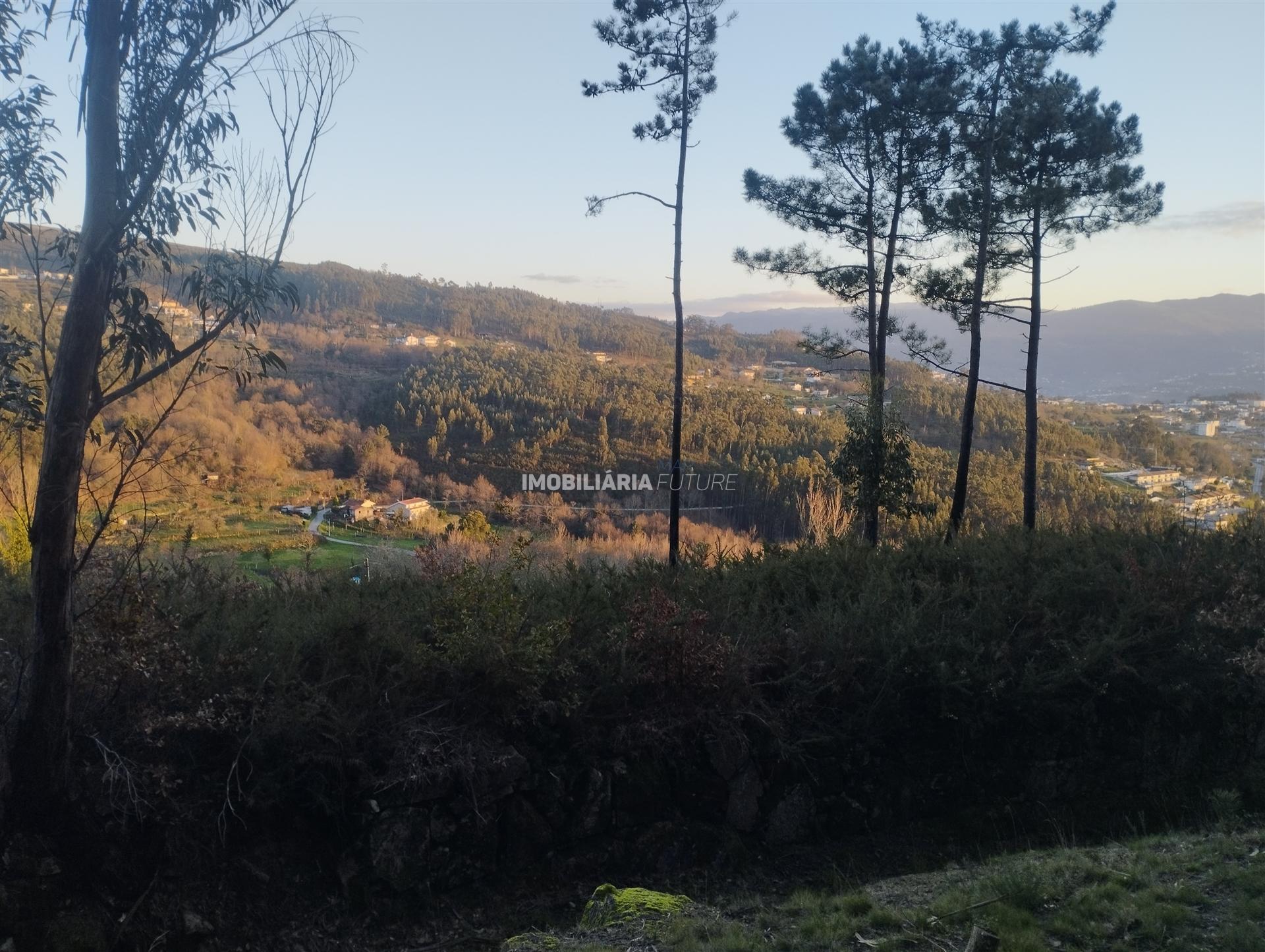 Terreno  Venda em Sande e São Lourenço,Marco de Canaveses