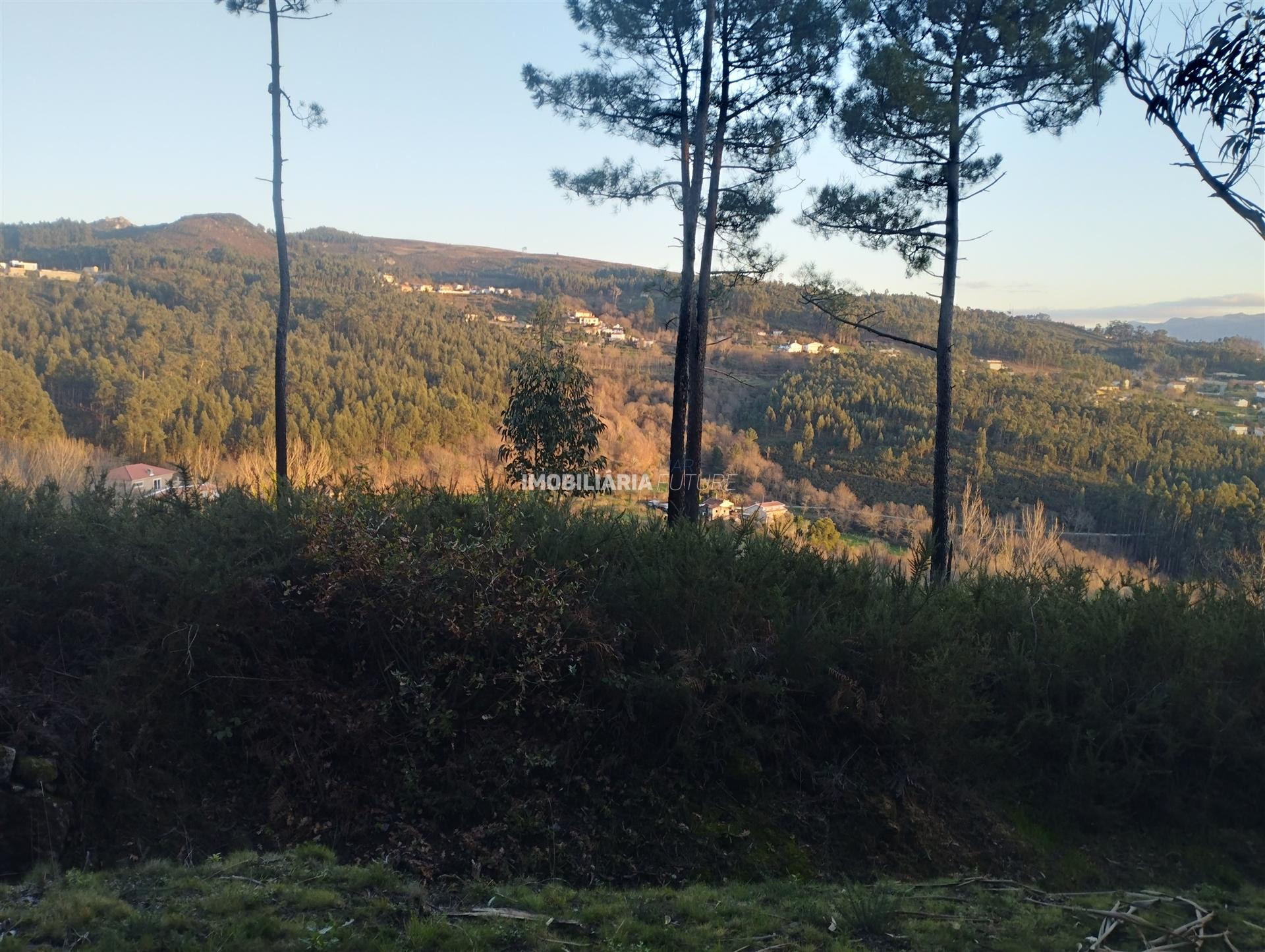 Terreno  Venda em Sande e São Lourenço,Marco de Canaveses